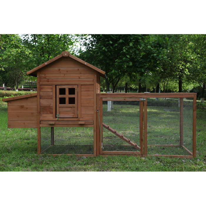 Tucker Murphy Pet™ Zebediah 12 Square Feet Chicken Coop with Chicken